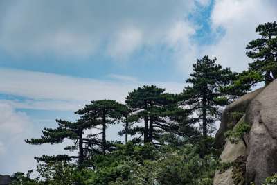 大自然壁纸 自然壁纸 高清壁纸 山 天柱山 云 天 风景 景点