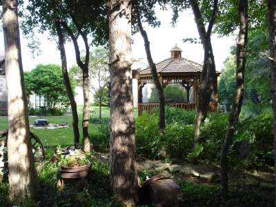 凉亭 树冠 花园 后院 树木 庇护所 亭