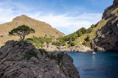 湖 岩石海岸 海岸 自然 景观 马略卡岛 西班牙