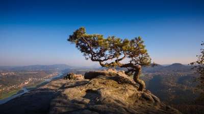 易北河砂岩山 撒克逊瑞士 德国 岩石 景观 自然保护区 爬 自然
