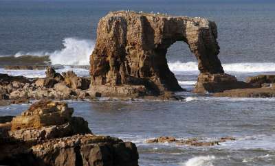 海拱门 惠特本 泰恩和磨损 英国 海滨 沿海 景观 水 地标