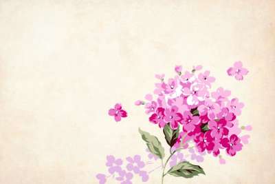 花 花的 背景 边境 花园框架 优质的 卡片 艺术 婚礼 设计