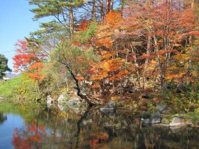秋季 秋季树叶 树 多彩 森林 枫 山 日本的秋天 银杏 落叶
