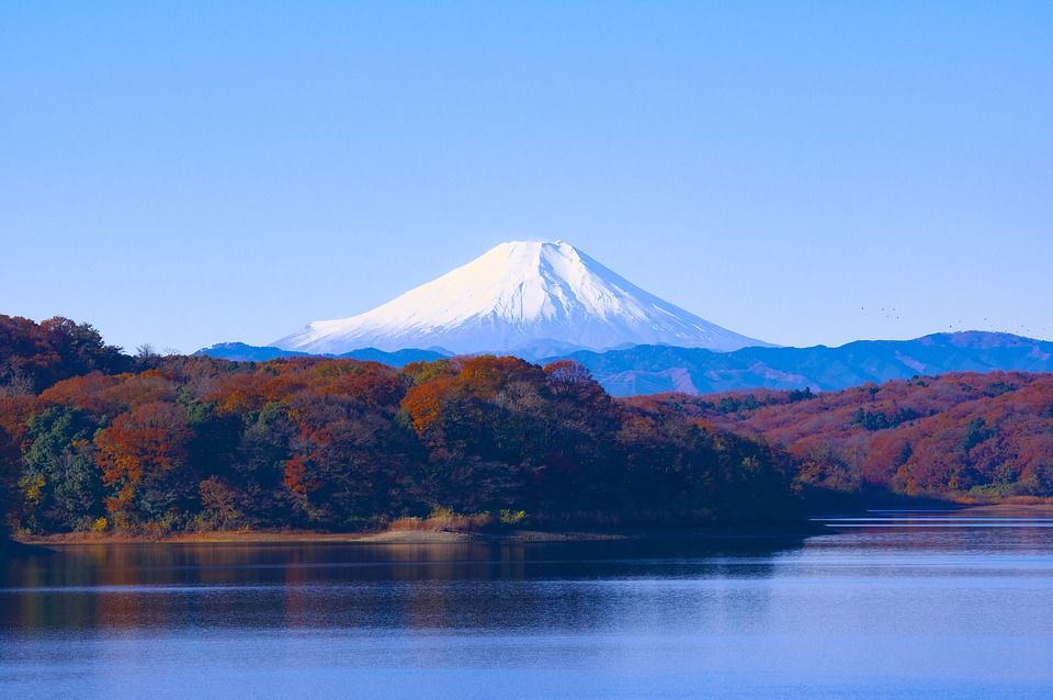 日本, 富士山, 狭山湖, 水库, 景观, 世界文化遗产, 秋季树叶, 狭山丘陵