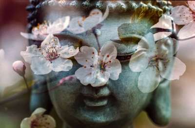 佛 花 佛教 宗教 和平 精神 东方的 禅 佛教徒 宗教的