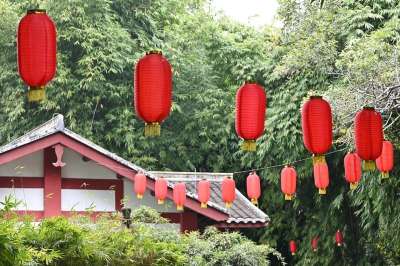 春节 灯笼 节日 森林 春节 春节 春节 春节 春节