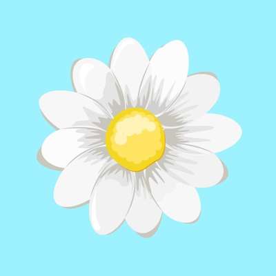 黛西 花卉 喜欢不喜欢 占卜 洋甘菊 雏菊 夏天 春天 花瓣