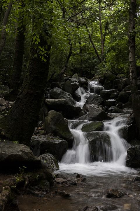 大自然 山 Geomdan 山 景观 大韩民国 森林