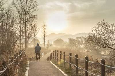 老人 步行 通路 早晨 日出 太阳 秋天 景观 路 自然