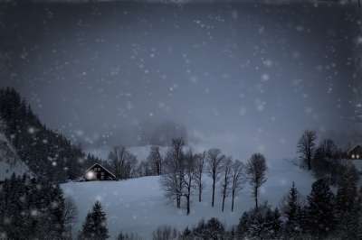 冬天 自然 树木 户外 雪 季节 降雪