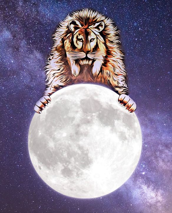狮子 月亮 生肖 幻想 星座运势 动物 夜晚 星座 行星