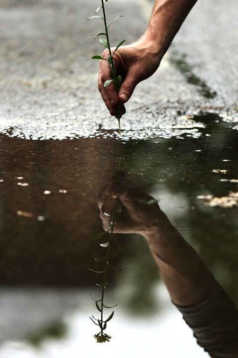 水 雨 春天的花朵 手 男性