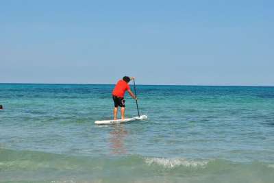 冲浪 海滩 水 夏天 马洛卡 冲浪者 体育 海