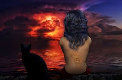 女士 猫 海 光 情绪 封面 幻想 家畜 女性 狮子 纹身