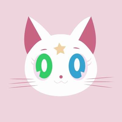 猫 白色的 可爱 小狗 可爱的 动物肖像
