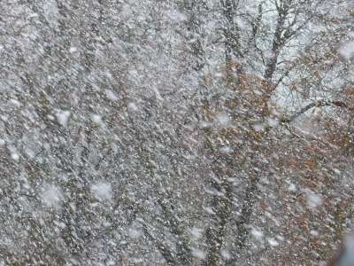 暴风雪 雪 雪花 降雪 吹雪 冬天 寒冷的 薄片 风暴 风