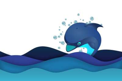 海豚 波浪 海洋 动物 潜水 跳 海 水 抽象