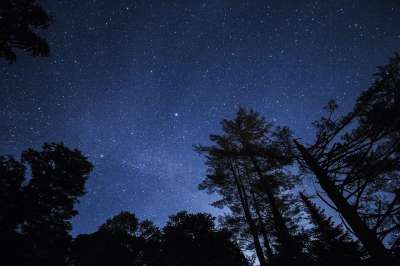 夜晚 蓝色的 天空 星星 星系 树木 植物 蓝色的星系