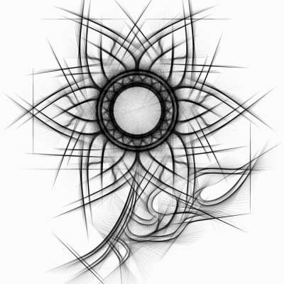 花 抽象的 铅笔 画画