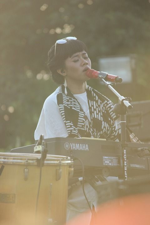 歌手 女士 音乐家 音乐 阶段 音乐会 事件 表现 娱乐 节日