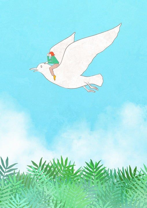 照明 想象力 创造力 画画 绘画 黑和白 公平的谈话 幻想 鸟