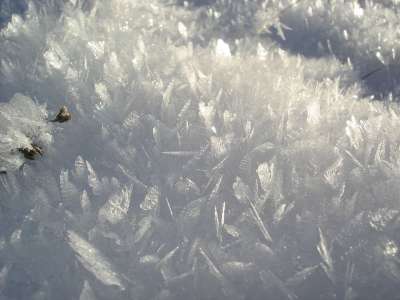 水晶 雪花 季节 白色的 寒冷的 冰 雪 冬天 霜 下雪的