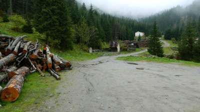 Transfagarasan 山 森林 自然 美容 旅行 罗马尼亚