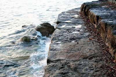 黎明 光 湖 海浪 水 万维网 水分 树叶 早上