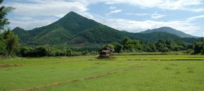 景观 泰国 亚洲 山 稻田 绿色 田野 夏天 春天 视图 山