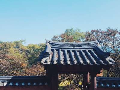 秋季 天空 秋天的天空 景观 国家 哈曼 韩屋 没有镇静作用 树