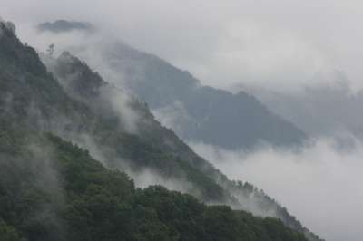 全景 山 自然 景观 天堂 多雾路段 森林 陡 坡