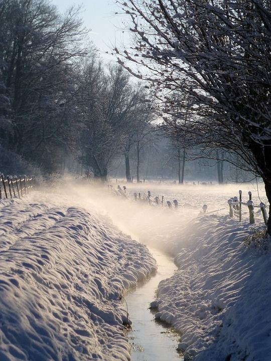 冬季景观 雪 白色的 下雪的 河道 冬天的一天 寒冷的 冬季的心情