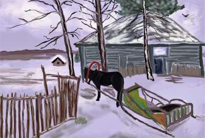 冬天 俄罗斯 马 冬季景观 雪景 冬季 栅栏 教练