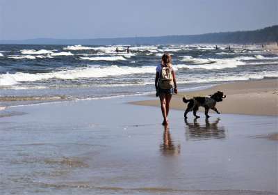 海 水 女士 周末走 狗 银行 海浪 天空 云 假日 六月