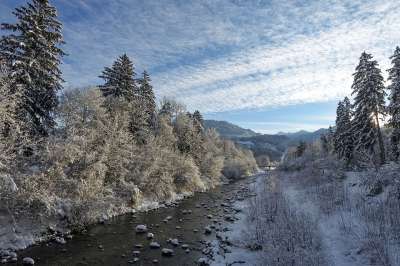 冬天 溪 下雪的 寒冷的 溪流 水域 雪 景观