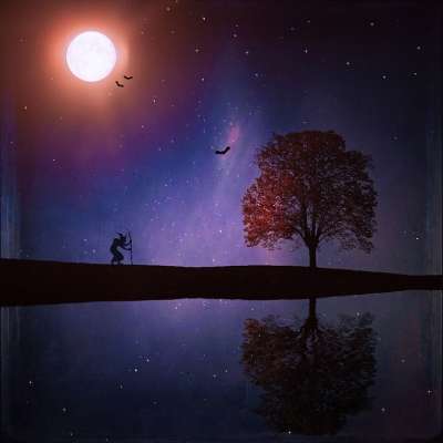 景观 夜晚 湖 树 自然 月亮 天堂 星星 巫婆 蝙蝠
