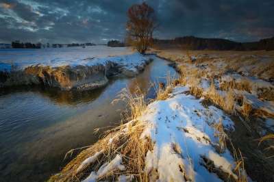 前夕 雪 溪 水 溪流 草地 树 照明心情 景观 冬季景观