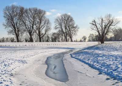 公园 树 冬天 水 冻结 冰 雪 霜 冷 雪景观 冬季景观