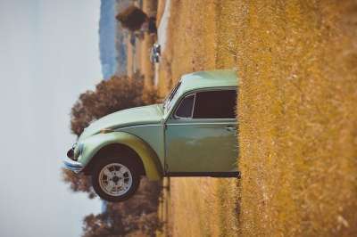 错误的世界 经典的 大众甲壳虫 草地 景观 汽车 古董车