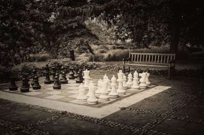 银行 象棋 国际象棋游戏 玩 战略 黑和白 开关 树 草地