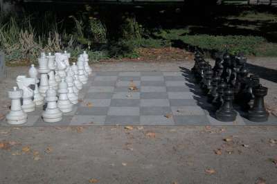 象棋 棋盘 棋盘上的棋子 黑色的 白色的 国际象棋游戏 游戏 人物