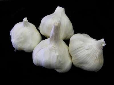 大蒜 食物 蔬菜 健康 新鲜的 有天赋的人 草本植物 烹饪