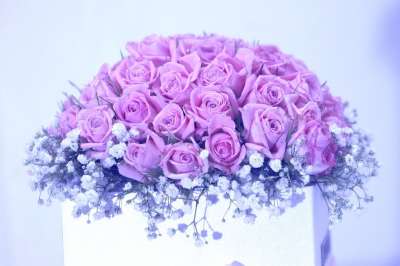玫瑰 花束 婚礼 结婚纪念日 玫瑰花束 花朵 春天 玫瑰壁纸