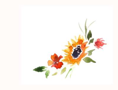 花朵 植物 水彩 盛开 树叶 花束 自然 夏天 卡片 画画