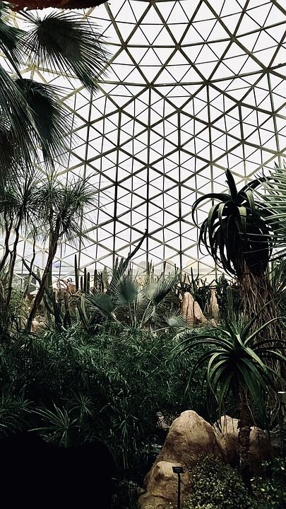 密尔沃基 圆顶 热带 建筑的 地标 植物 威斯康星州 景观 景点