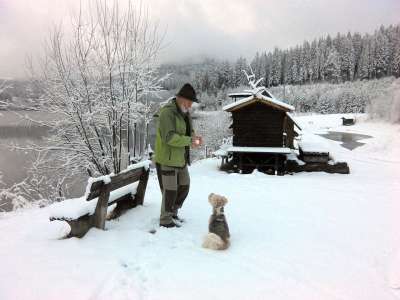 冬天 寒冷的 那位老人 狗 冬季景观 雪景 雪 白雪皑皑的天空