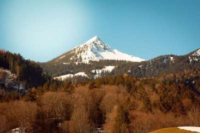 景观 外表 自然 森林 树木 山 山顶 天堂 福拉尔贝格