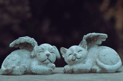 狗 猫 天使 雕像 坟 宠物 国内动物 去世了 翅膀 悲伤