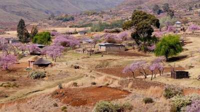 莱索托 山村 桃花源 农业 春天 桃花源 桃花源 桃花源 桃花源