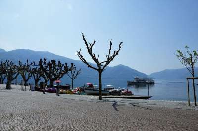 阿斯科纳（Ascona） 电影 节日 湖 Maggiore 水 天鹅